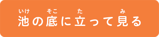 池の底に立ってみる